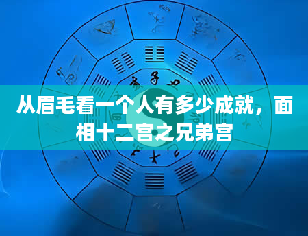 从眉毛看一个人有多少成就，面相十二宫之兄弟宫