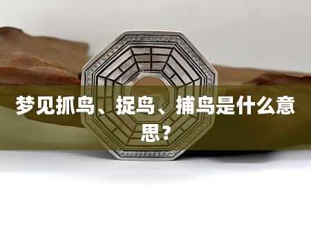 梦见抓鸟、捉鸟、捕鸟是什么意思？