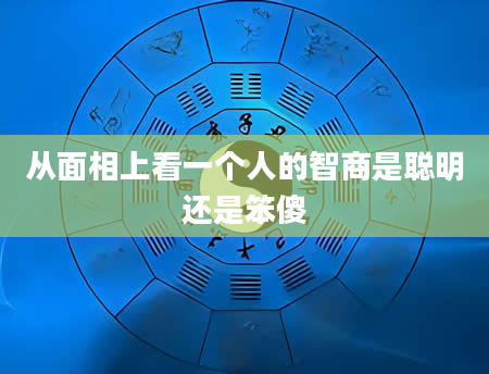 从面相上看一个人的智商是聪明还是笨傻