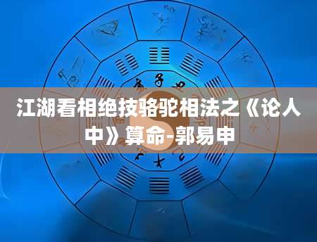 江湖看相绝技骆驼相法之《论人中》算命-郭易申