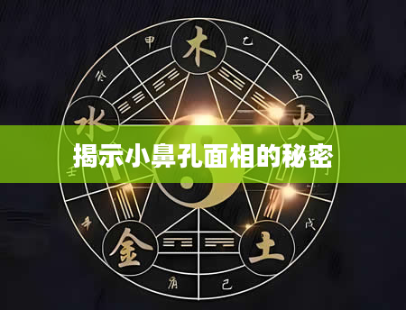 揭示小鼻孔面相的秘密