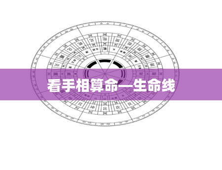 看手相算命—生命线