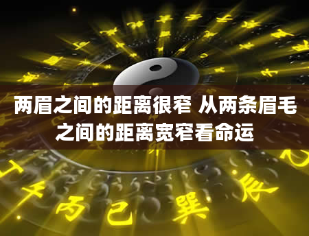 两眉之间的距离很窄 从两条眉毛之间的距离宽窄看命运