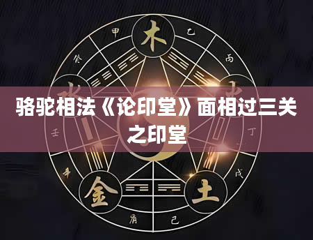 骆驼相法《论印堂》面相过三关之印堂