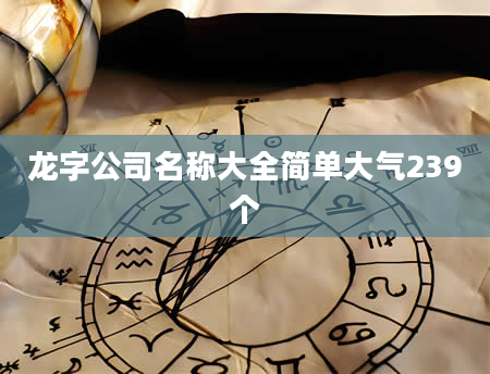 龙字公司名称大全简单大气239个