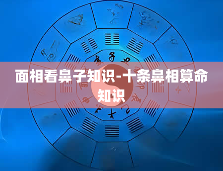 面相看鼻子知识-十条鼻相算命知识