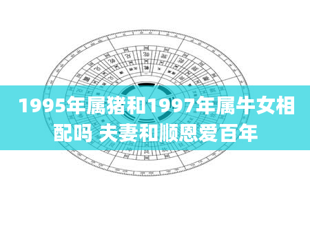 1995年属猪和1997年属牛女相配吗 夫妻和顺恩爱百年