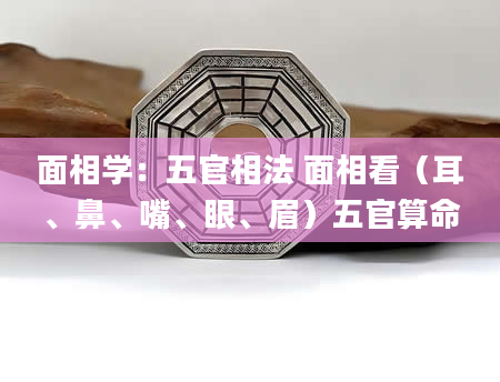面相学：五官相法 面相看（耳、鼻、嘴、眼、眉）五官算命
