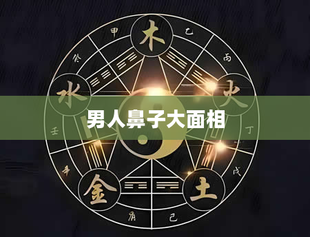 男人鼻子大面相