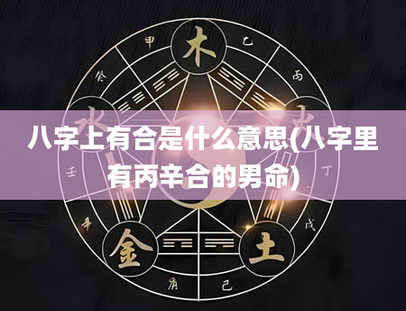 八字上有合是什么意思(八字里有丙辛合的男命)