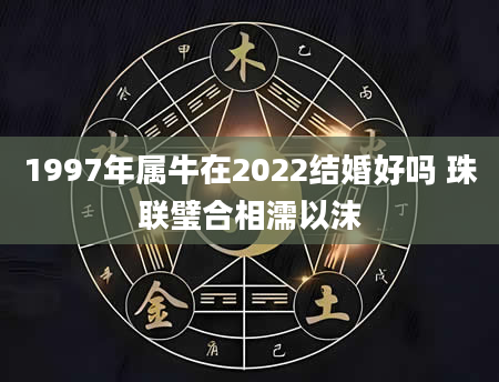 1997年属牛在2022结婚好吗 珠联璧合相濡以沫