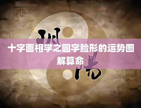 十字面相学之圆字脸形的运势图解算命