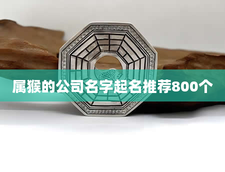 属猴的公司名字起名推荐800个