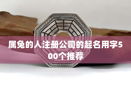 属兔的人注册公司的起名用字500个推荐