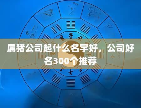 属猪公司起什么名字好，公司好名300个推荐
