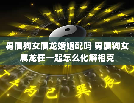 男属狗女属龙婚姻配吗 男属狗女属龙在一起怎么化解相克