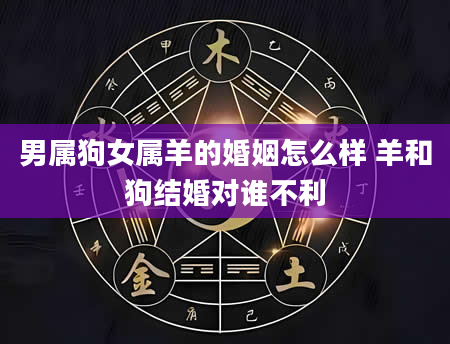男属狗女属羊的婚姻怎么样 羊和狗结婚对谁不利