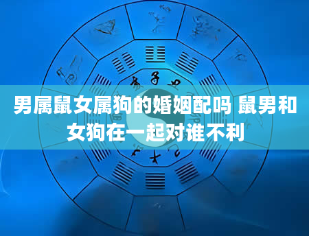 男属鼠女属狗的婚姻配吗 鼠男和女狗在一起对谁不利