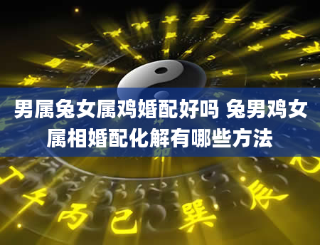 男属兔女属鸡婚配好吗 兔男鸡女属相婚配化解有哪些方法