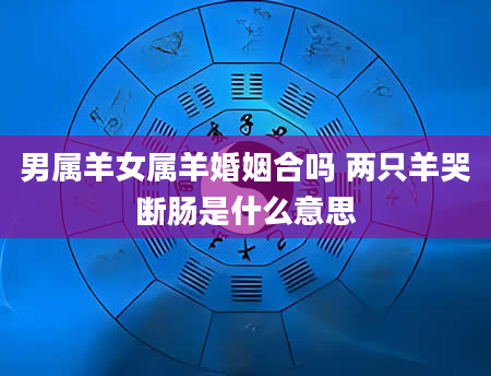 男属羊女属羊婚姻合吗 两只羊哭断肠是什么意思