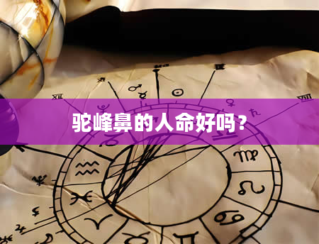 驼峰鼻的人命好吗？