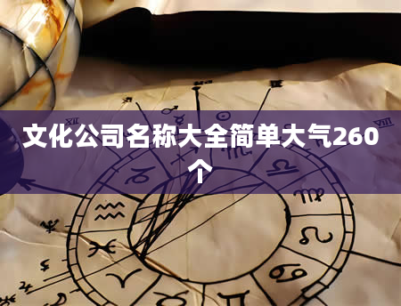 文化公司名称大全简单大气260个