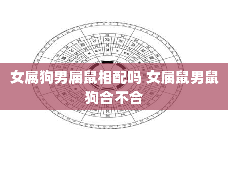 女属狗男属鼠相配吗 女属鼠男鼠狗合不合