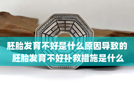 胚胎发育不好是什么原因导致的 胚胎发育不好补救措施是什么