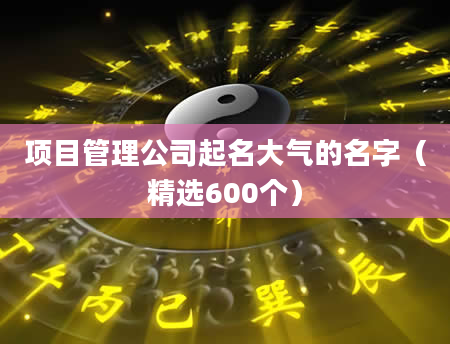 项目管理公司起名大气的名字（精选600个）