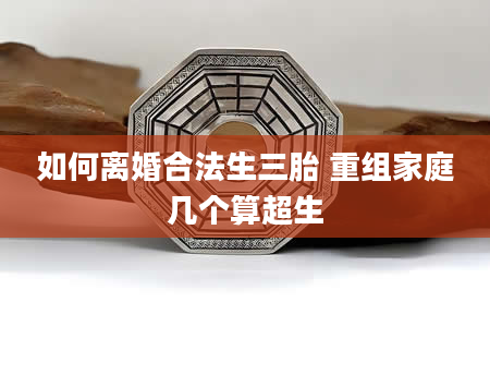 如何离婚合法生三胎 重组家庭几个算超生