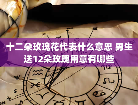 十二朵玫瑰花代表什么意思 男生送12朵玫瑰用意有哪些