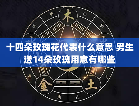 十四朵玫瑰花代表什么意思 男生送14朵玫瑰用意有哪些