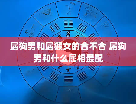 属狗男和属猴女的合不合 属狗男和什么属相最配