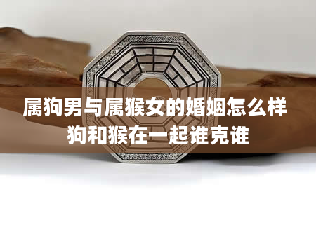 属狗男与属猴女的婚姻怎么样 狗和猴在一起谁克谁