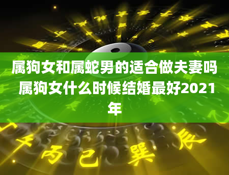 属狗女和属蛇男的适合做夫妻吗 属狗女什么时候结婚最好2021年