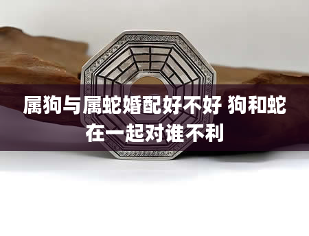 属狗与属蛇婚配好不好 狗和蛇在一起对谁不利