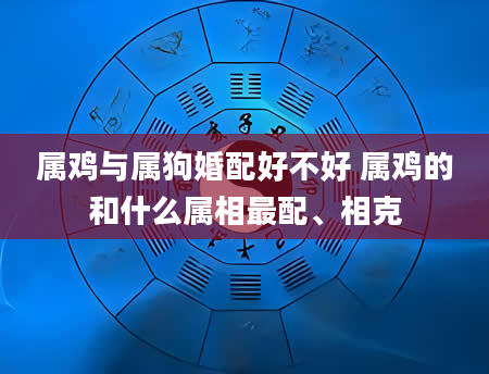 属鸡与属狗婚配好不好 属鸡的和什么属相最配、相克