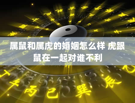 属鼠和属虎的婚姻怎么样 虎跟鼠在一起对谁不利