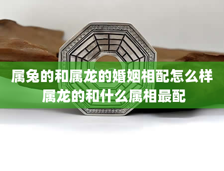 属兔的和属龙的婚姻相配怎么样 属龙的和什么属相最配