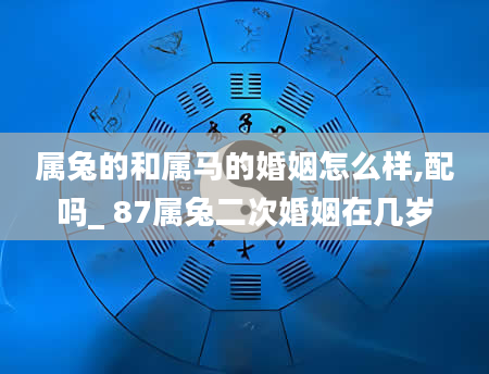 属兔的和属马的婚姻怎么样,配吗_ 87属兔二次婚姻在几岁