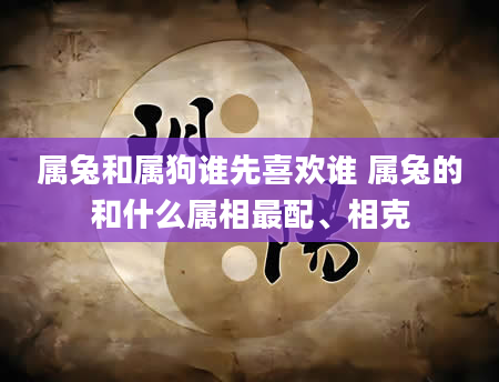 属兔和属狗谁先喜欢谁 属兔的和什么属相最配、相克