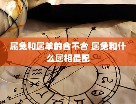 属兔和属羊的合不合 属兔和什么属相最配