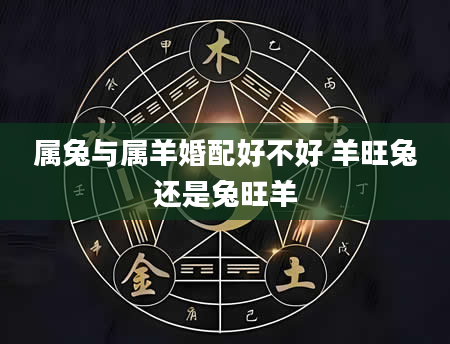 属兔与属羊婚配好不好 羊旺兔还是兔旺羊