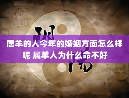 属羊的人今年的婚姻方面怎么样呢 属羊人为什么命不好