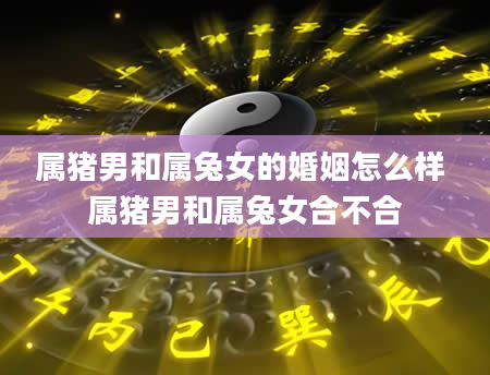 属猪男和属兔女的婚姻怎么样 属猪男和属兔女合不合