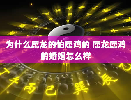 为什么属龙的怕属鸡的 属龙属鸡的婚姻怎么样