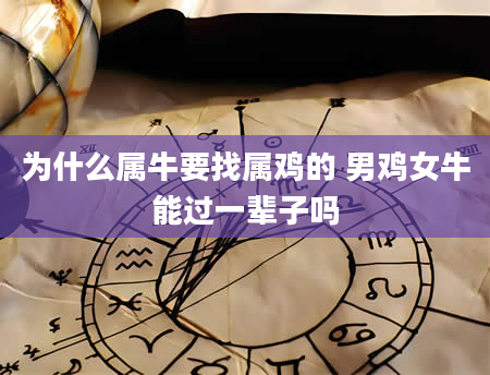 为什么属牛要找属鸡的 男鸡女牛能过一辈子吗