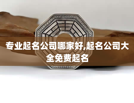 专业起名公司哪家好,起名公司大全免费起名