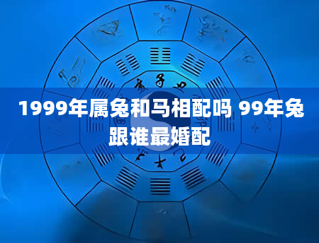 1999年属兔和马相配吗 99年兔跟谁最婚配