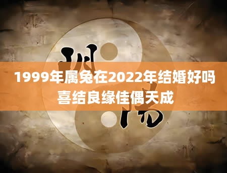 1999年属兔在2022年结婚好吗 喜结良缘佳偶天成